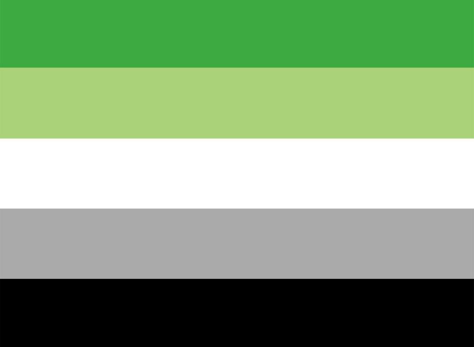 lgbtq aromantic flag for the rights of pride and sexuality vector