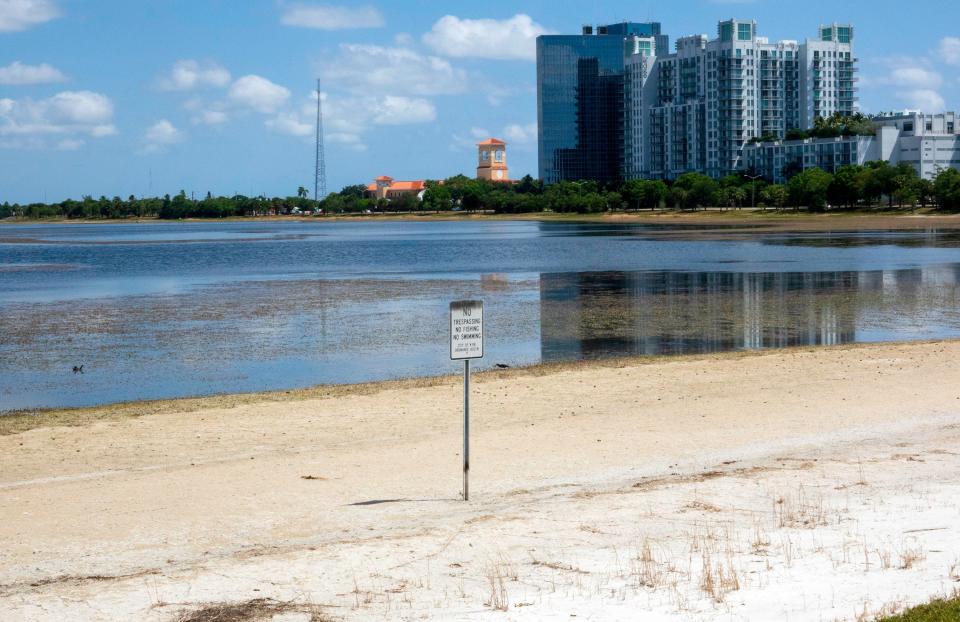A sandy shore on Clear Lake in West Palm Beach Tuesday, May 25, 2021 shows the dwindling water supply as the city can't take water through the L8 canal because of algae blooms. Clear Lake is the source of water for West Palm Beach and Palm Beach.