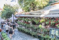 Si vous passez par la capitale serbe, pensez à faire un détour à Dorcol. Réputé pour sa promenade aménagée le long du Danube, le quartier se visite à vélo. De nombreuses boîtes de nuit sont également installées au bord de l'eau.