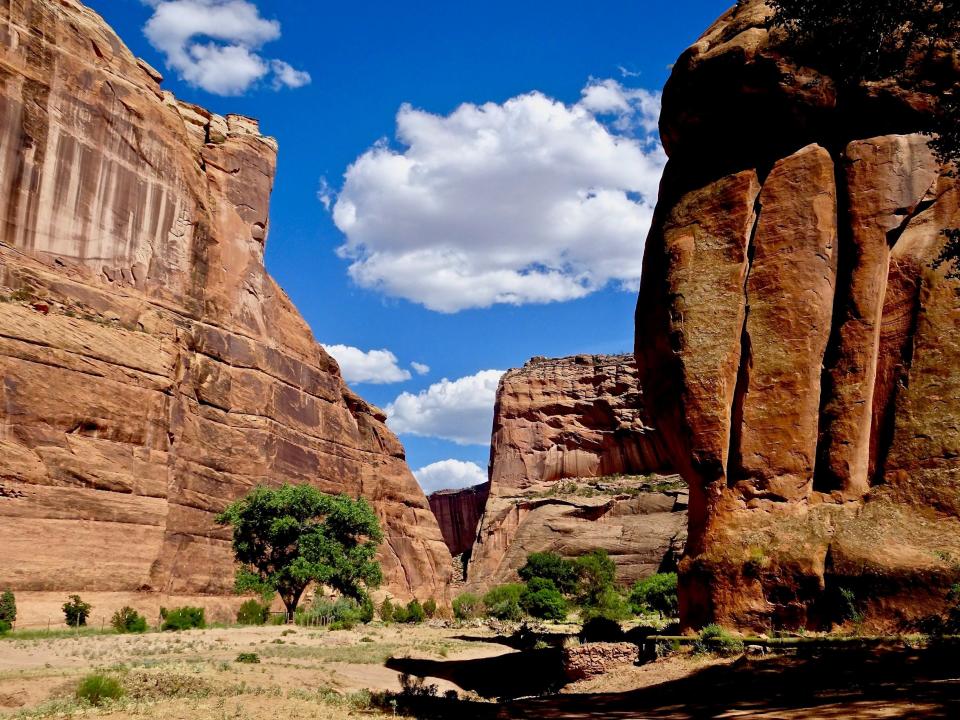 High sandstone walls tower above the shady floor of Canyon de Chelly National Monument in Arizona.