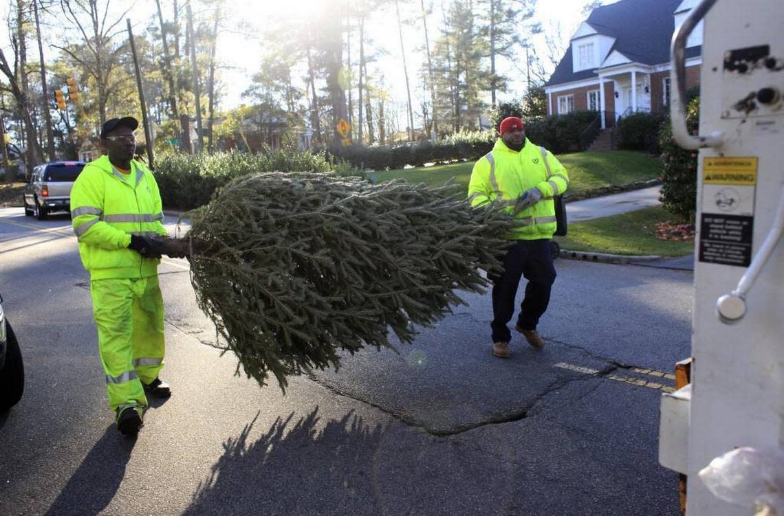 Thurman Strickland, left, and Keith Kelly of the Solid Waste Services Department prepare to load a discarded Christmas tree into a garbage compactor on Jan. 4, 2013 in Raleigh.