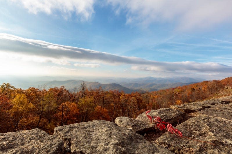 Autumn is the most popular time for visitors to Shenandoah.