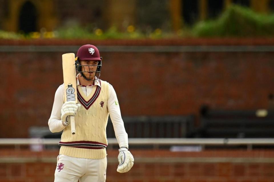 Kasey Aldridge scored a half-century. <i>(Image: Somerset CCC)</i>