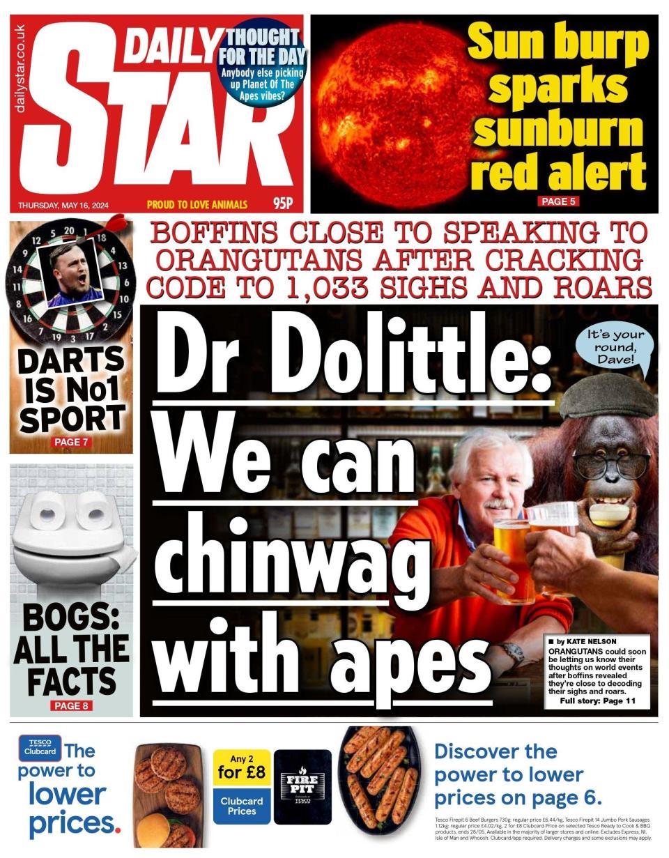 Daily Star: Boffins to discover what apes chat about so we can all be real-life Dr Dolittle