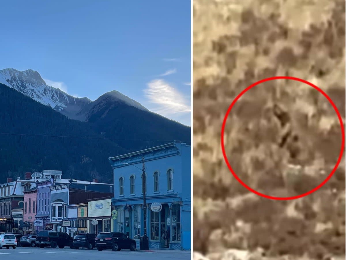 The tiny mountain enclave of Silverton, Colorado has found itself at the centre of viral Bigfoot fame after tourists captured footage of a hairy, large figure from the region’s famed scenic train  (Sheila Flynn / Video Elephant / Fox Houston )