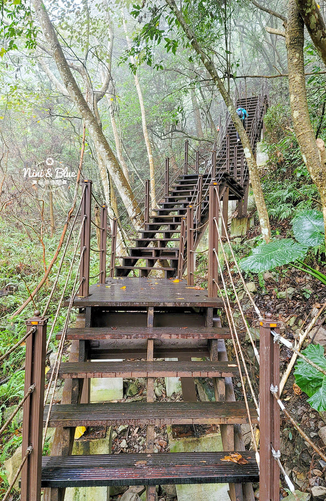 台中｜八仙山國家森林遊樂區