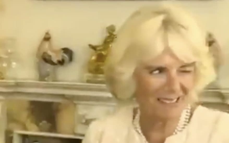 Camilla winking behind donald trump