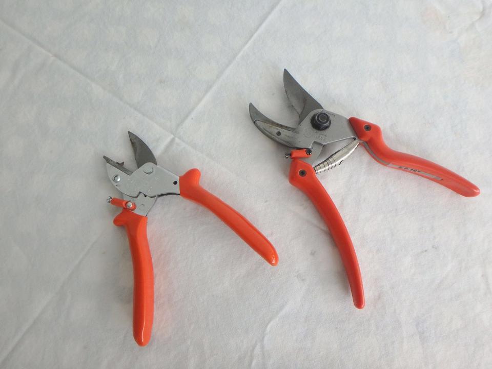 Felco pruners come in various sizes.