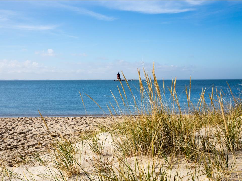 Cape Henlopen, Delaware