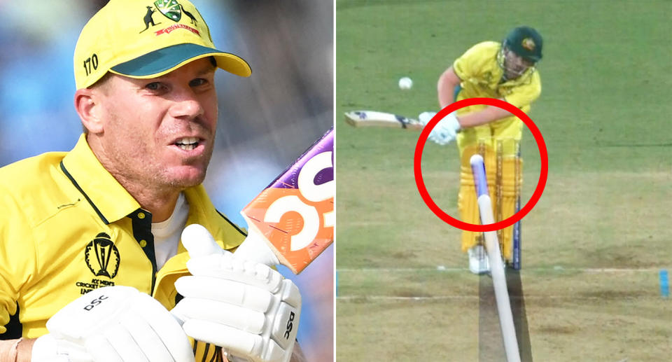 David Warner has called for greater umpiring transparency after his controversial LBW incident at the Cricket World Cup. Pic: Getty/Fox Cricket