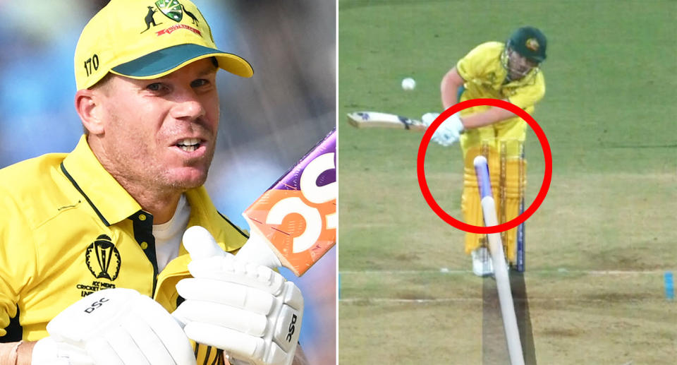 These images show David Warner at the Cricket World Cup.