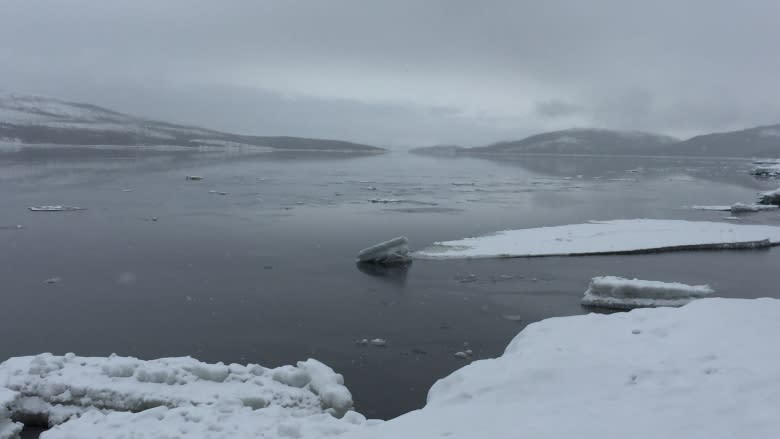 Trapped 'like a caged animal': Climate change taking toll on mental health of Inuit