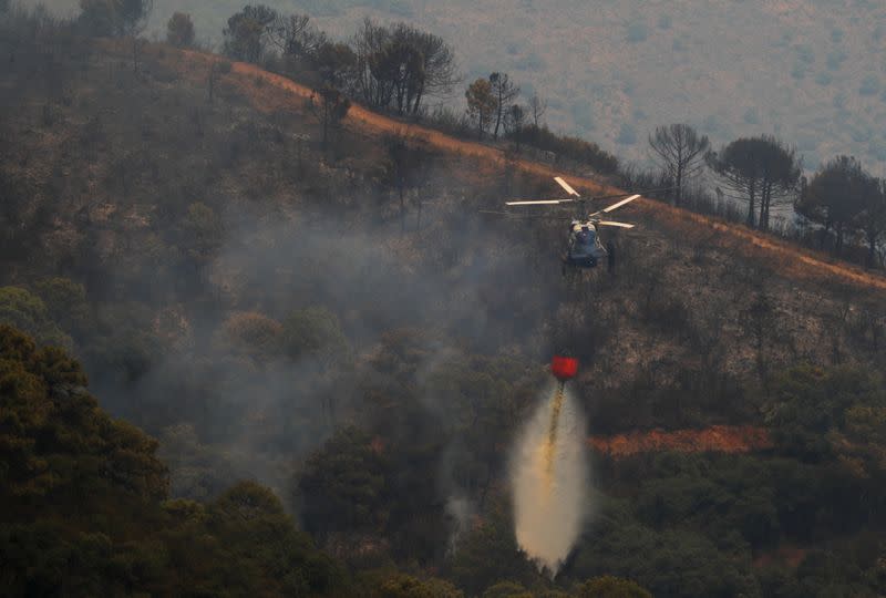 Firefighters battle wildfire burning Sierra Bermeja mountain