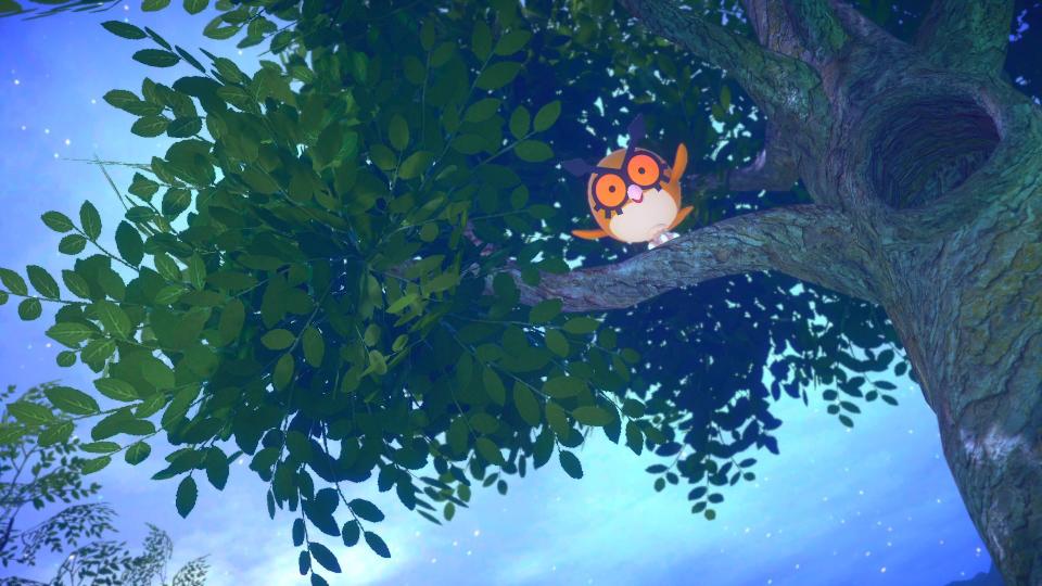 Hoothoot in a tree