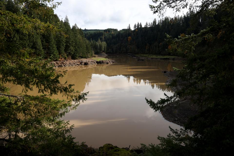 Foster Lake, the city of Sweet Home’s water source, turned the color of chocolate milk, filled at times with 14 times as much sediment as normal this fall.