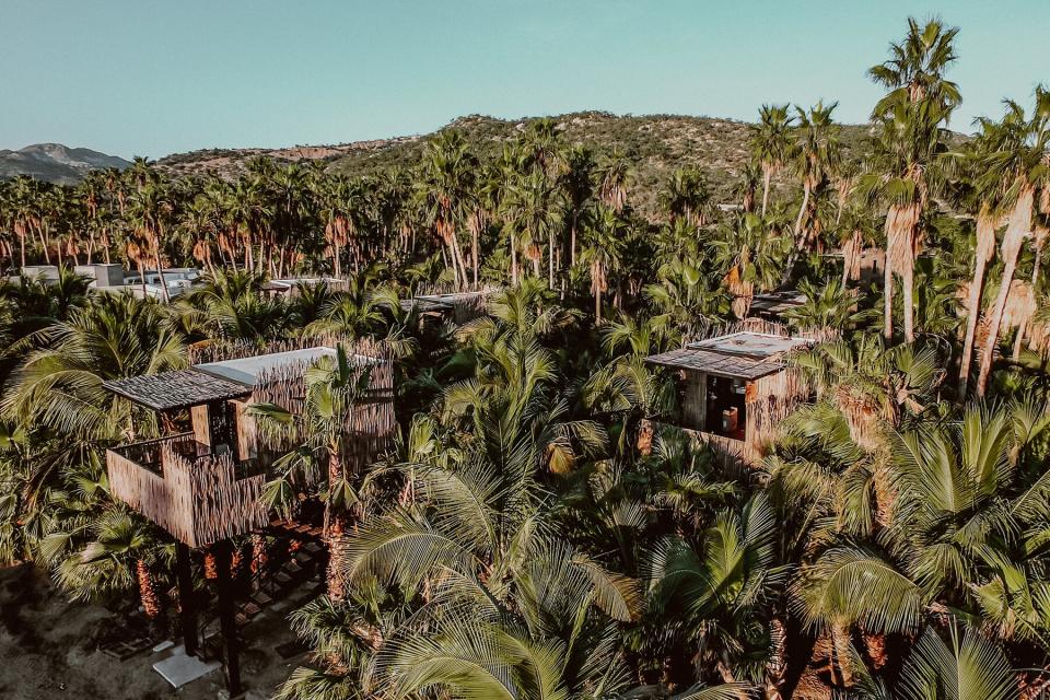 Aerial view of the treehouses at Acre Baja