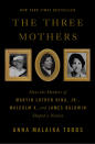 <p>History is too often taught as a series of actions undertaken by men. In <span>this group biography</span>, the author argues that we understand the importance of three extraordinary mothers in shaping the Civil Rights movement. Without the strength and vision of these three African American mothers, the book asks, would we even have known the leadership of King, the vision of Malcolm, or the clarity of James Baldwin's words? </p>