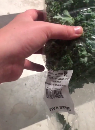 The spider was trapped in a packet of kale. Source: Supplied