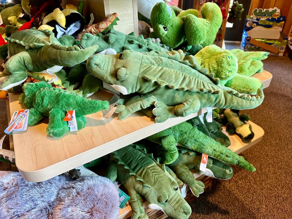 Alligator plushes in a gift shop.