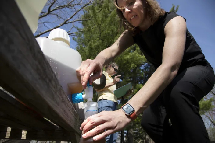 University of Michigan civil and environmental engineering professors Nancy Love, and Krista Wigginton, right, apply human urine derived fertilizer to beds of peonies at Nichols Arboretum in Ann Arbor on Monday, May 9, 2022. The "pee-cycling" effort is part of University of Michigan research that promotes human urine-based fertilizer as beneficial to the plants and to the environment. (Marcin Szczepanski/Lead Multimedia Storyteller, Michigan Engineering via AP)