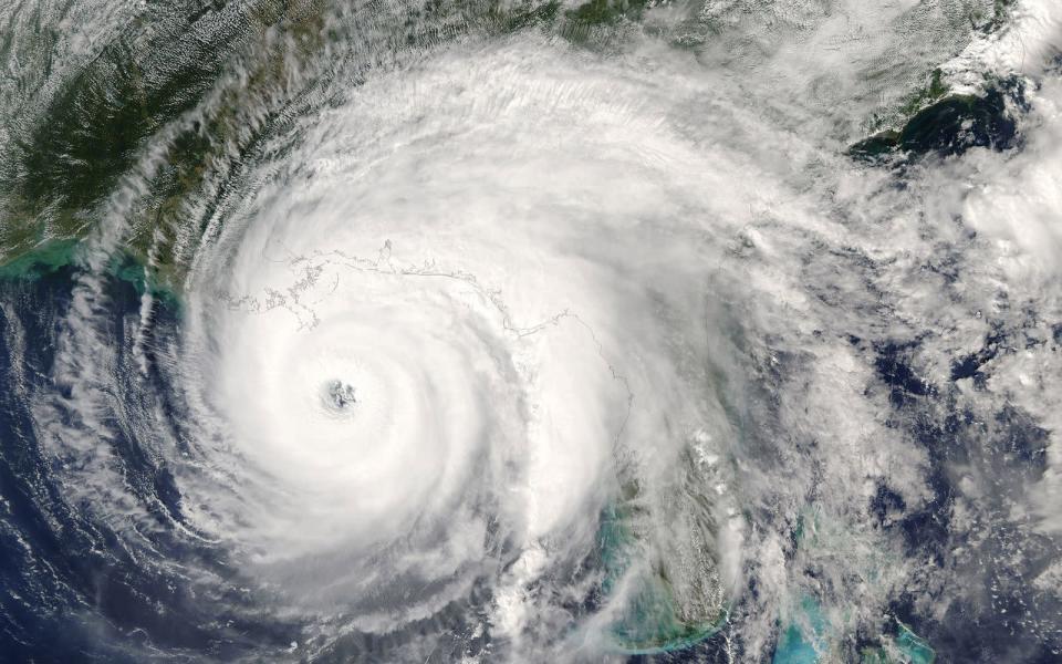 Hurrikans treten als tropische Wirbelstürme mindestens mit einer Windstärke von 12 (Orkanstärke) auf. Auch sie formieren sich über Wasser und kommen mit schweren Niederschlägen, Sturzfluten, Erdrutschen und Überschwemmungen. Der weltweit stärkste jemals gemessene Hurrikan Patricia trat 2015 auf und zerstörte mit Rekord-Windgeschwindigkeit von 345 km/h Lebensraum für Mensch und Tier. (Bild: iStock / Zenobillis)