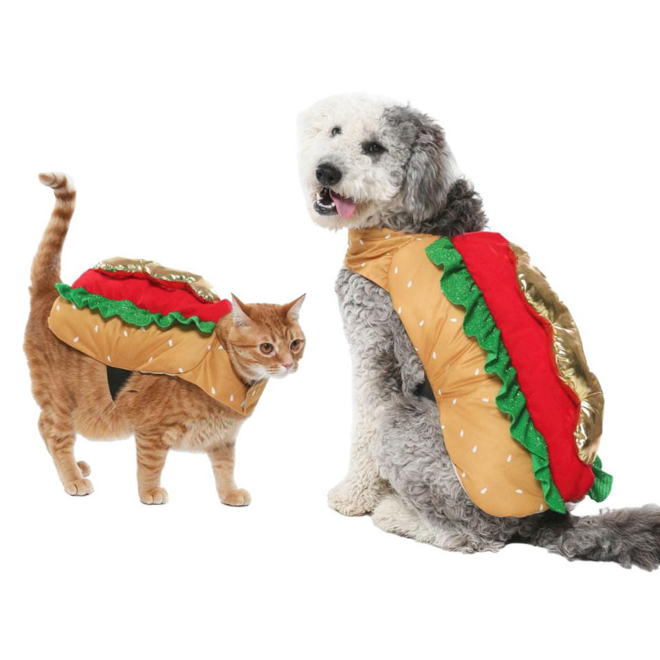 <p><a href="https://go.redirectingat.com?id=74968X1596630&url=https%3A%2F%2Fwww.walmart.com%2Fip%2FVibrant-Life-Halloween-Dog-Costume-and-Cat-Costume-Hotdog-Size-Small%2F363983171&sref=https%3A%2F%2Fwww.thepioneerwoman.com%2Fholidays-celebrations%2Fg44495776%2Fhalloween-costumes-for-cats%2F" rel="nofollow noopener" target="_blank" data-ylk="slk:Shop Now;elm:context_link;itc:0;sec:content-canvas" class="link ">Shop Now</a></p><p>Hotdog Cat Costume</p><p>$12.97</p><p>walmart.com</p><span class="copyright">Walmart</span>