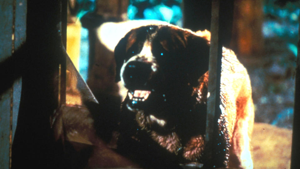 'Cujo'. (Warner Bros. Pictures/Eureka Video)