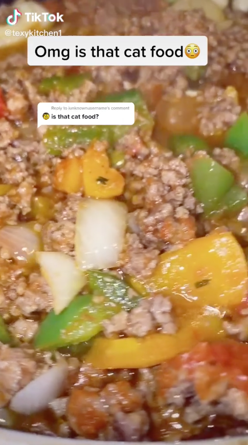 TikTok mum hits back at cruel trolling over toddler's meals