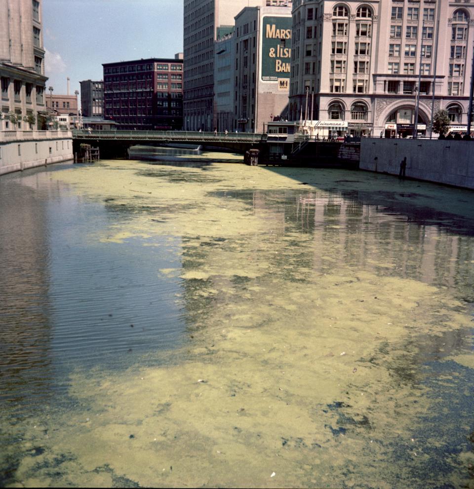 Algae in the Milwaukee River caused by pollution makes for a slimy mess. This 1967 photo looks toward the Wisconsin Avenue bridge downtown.