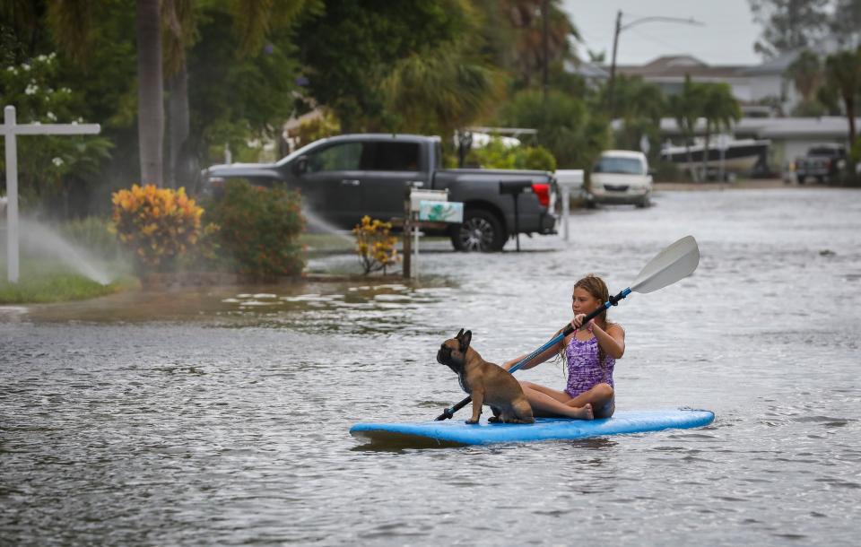 Lily Gumos, 11, of St. Pete Beach, Florida kayaks with her French bulldog along Blind Pass Road and 86th Avenue (AP)