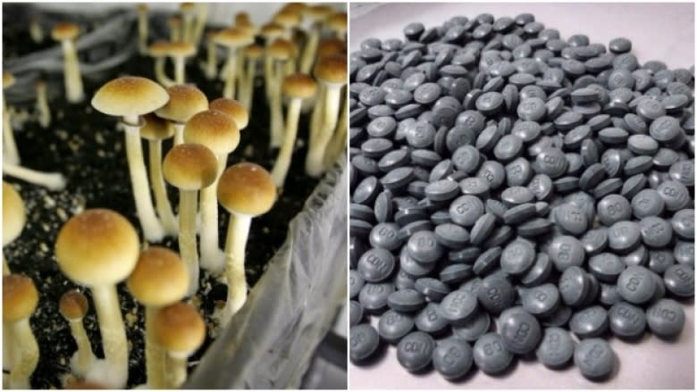 B.C. centre planning clinical trials to treat addiction with hallucinogens