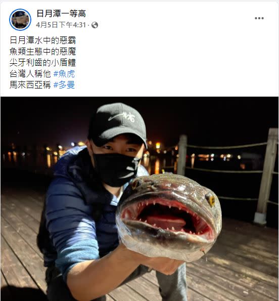 釣客表明，魚虎是日月潭惡霸。（圖／翻攝自日月潭一等高臉書）