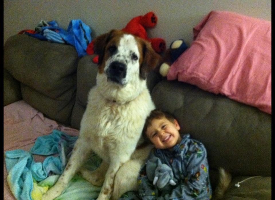 He is a wonderful soul mate!  Protective, loving, and smart!    He is a St. Bernard that I rescued as a puppy.  He is the most amazing addition to our little family of three (myself, 4-year-old little boy and 7-year-old little girl).  In this picture (taken in the middle of December of 2011) he was only 11 months old.    