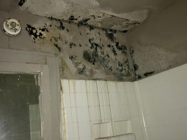 Angel Harris said the mold problem at her home started in her daughter's bedroom with this wall. She eventually sent her children to live with a relative because she was concerned about the condition of the home.