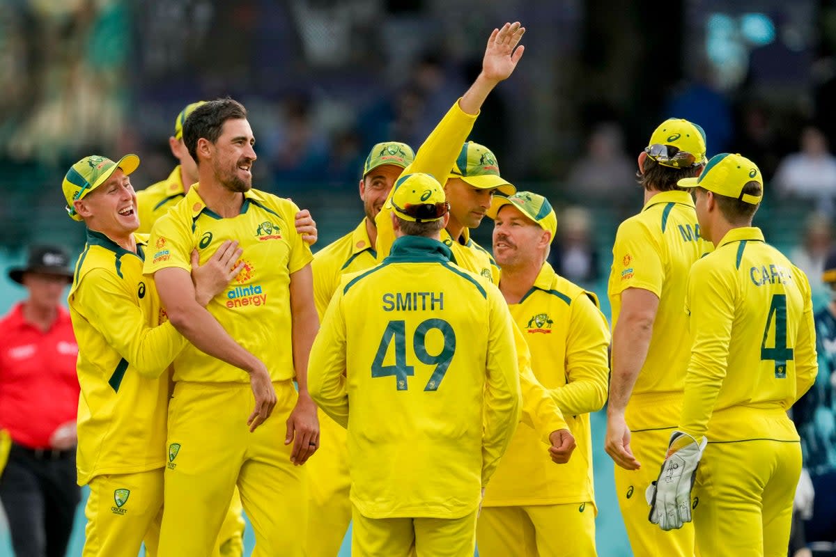 Australia guaranteed an ODI series win over England (Mark Baker/AP) (AP)
