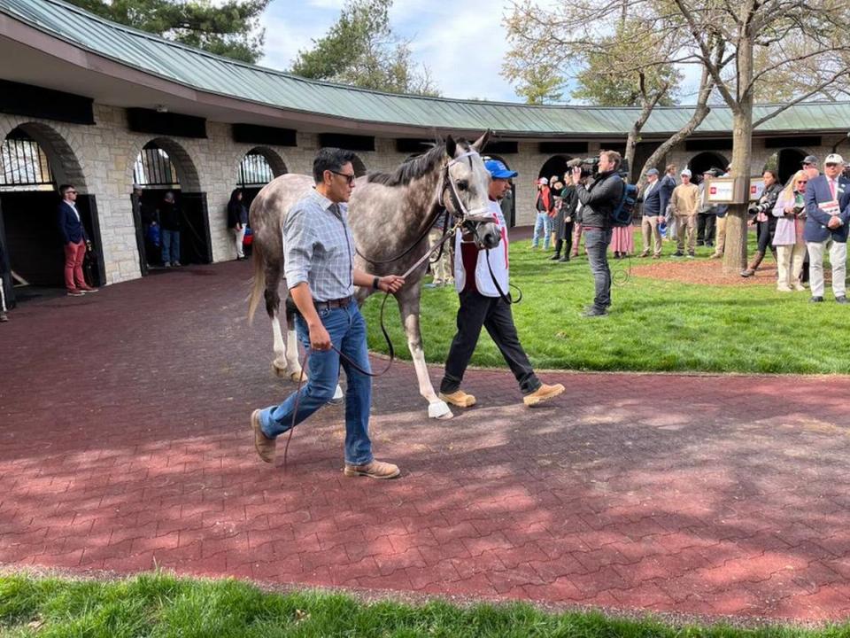 Blue Grass Stakes favorite Tapit Trice warms up in the Keeneland paddock before the race on Saturday.