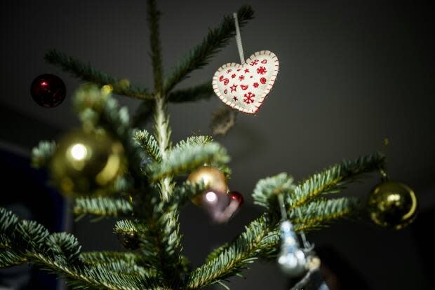 B.C. Christmas tree growers say the June heat wave has had a serious impact on their crops — and buyers should expect singed trees come the holiday season. (Odd Andersen/AFP/Getty Images - image credit)