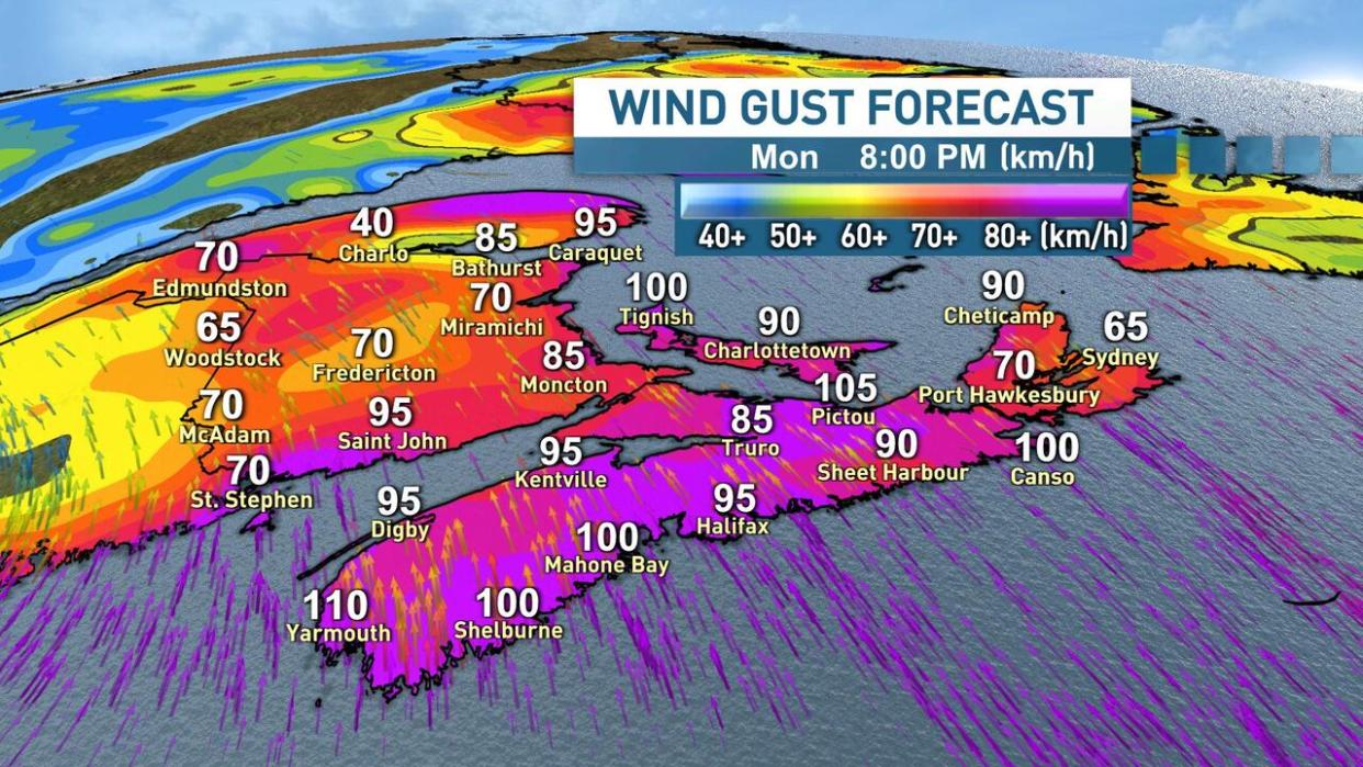 Gusts exceeding 100 km/h are possible for the coasts and exposed areas of Nova Scotia, New Brunswick and P.E.I. during a storm expected to arrive Monday.  (Ryan Snoddon/CBC - image credit)