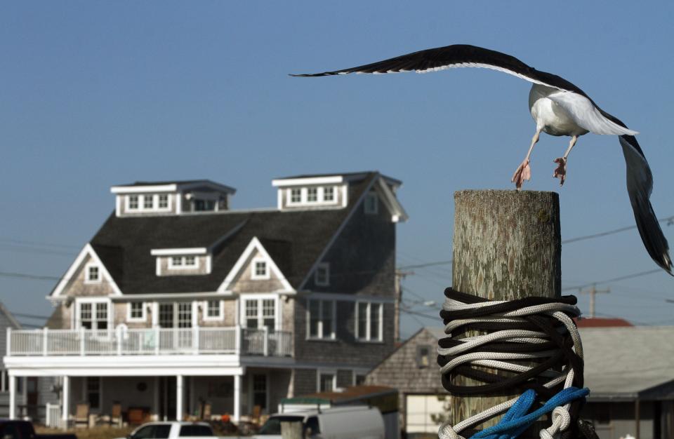 A gull leaves its perch near a home on Succotash Road in Narragansett's Jerusalem village.