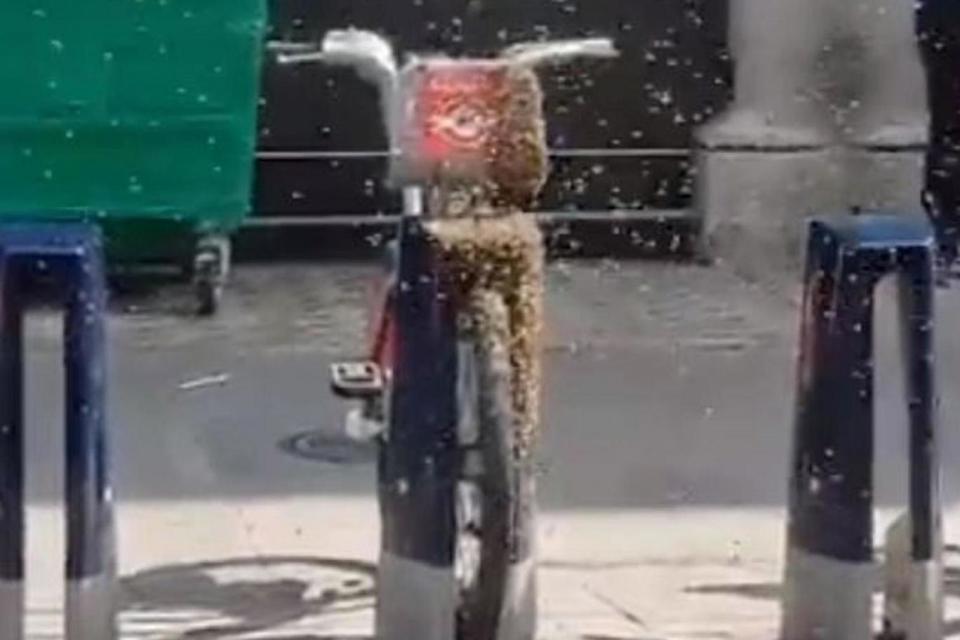 The bees were filmed swarming around one of the bikes (Twitter)