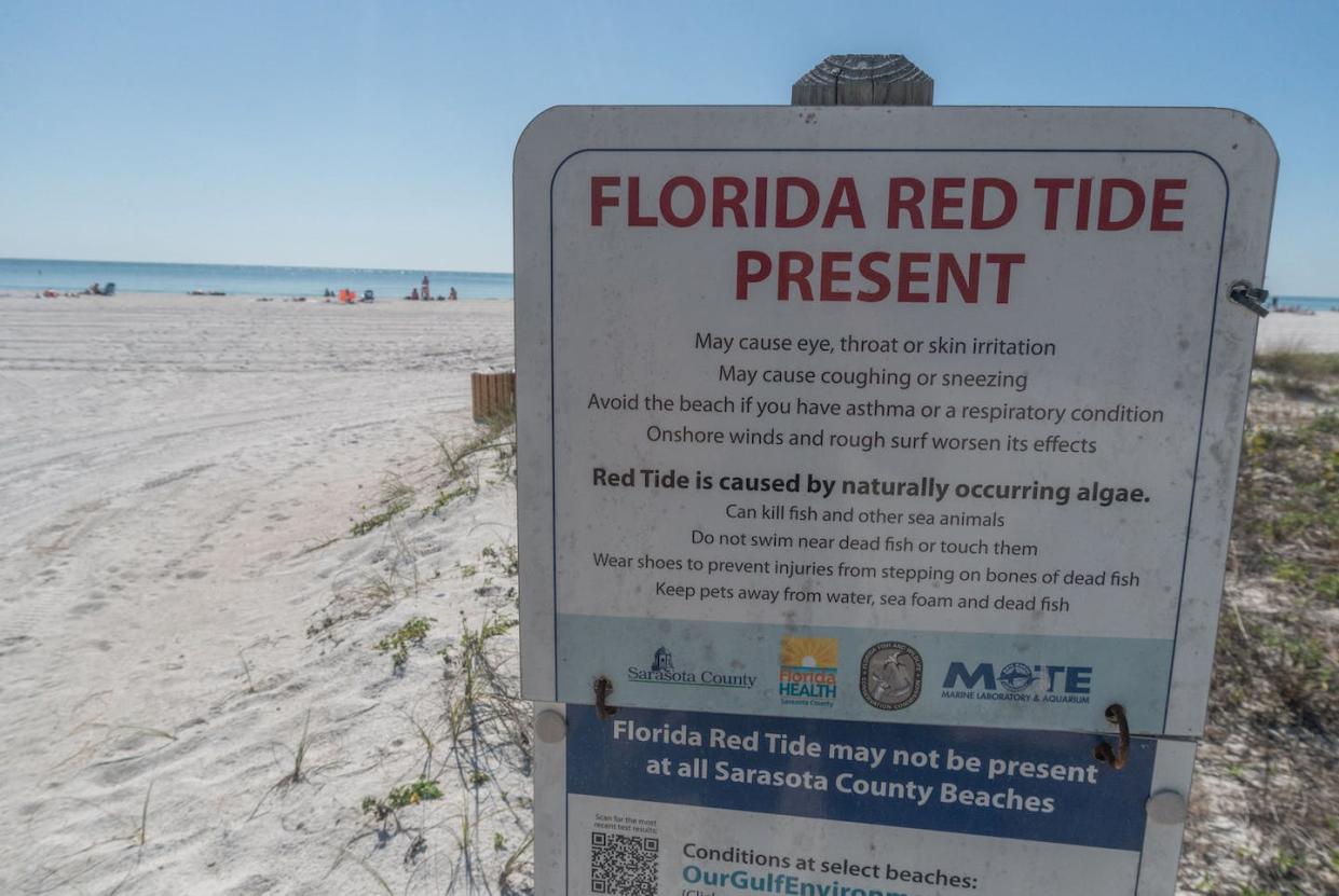 Warning sign at Lido Key Beach in Sarasota, Fla., March 15, 2023, during a toxic algae bloom. <a href="https://www.gettyimages.com/detail/news-photo/sign-warning-of-the-red-tide-risk-is-displayed-at-lido-key-news-photo/1248835855" rel="nofollow noopener" target="_blank" data-ylk="slk:Jesus Olarte/AFP via Getty Images;elm:context_link;itc:0;sec:content-canvas" class="link "> Jesus Olarte/AFP via Getty Images</a>