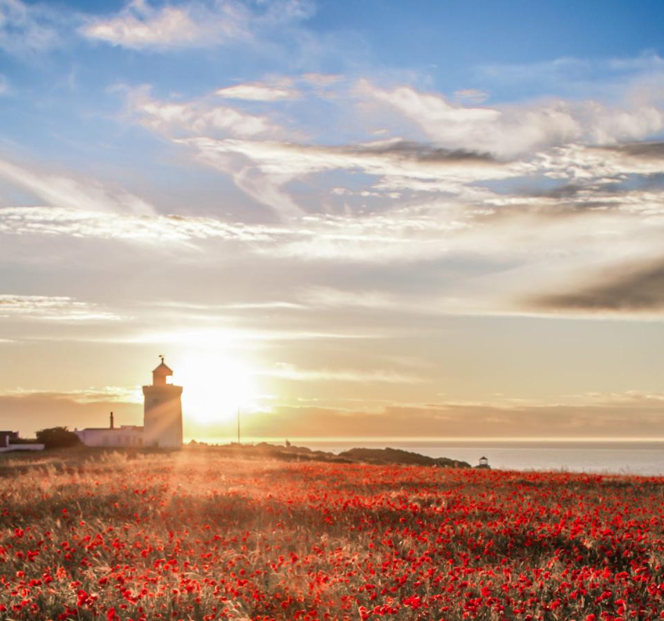 Photo credit: Matt Hayward/National Trust 