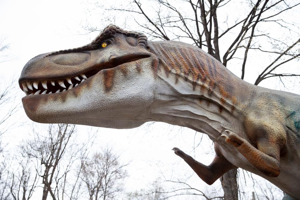 A replica of a Tyrannosaurus rex is seen in the Dino Park at the Memphis Zoo is seen on Friday, March 1, 2024.