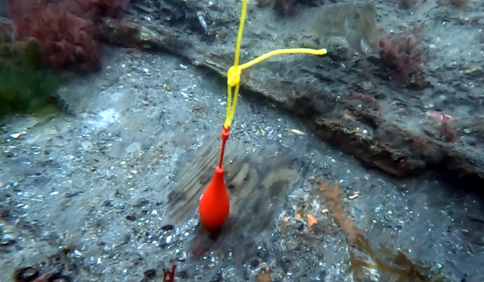 Cleaning of the ship shows preserved wood under sand and sediment.  / Credit: Spanish Federation of Underwater Activities