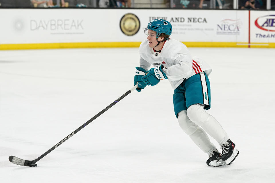 Fantasy Hockey Top10 NHL rookies who could make an impact in 202425