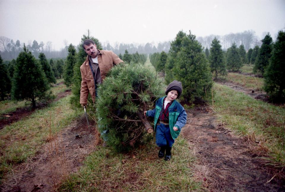 John Harper and his 4-year-old son, Peyton, drag away a tree they just cut down at Wright's Christmas Tree Farm in Wilson County on Dec. 9, 1994.