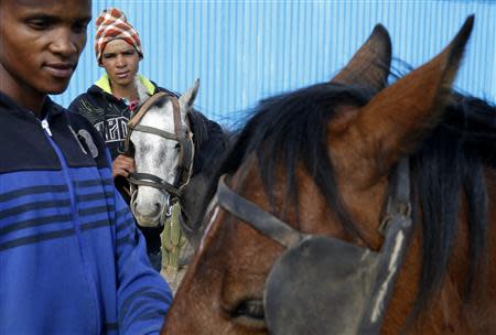 Farm labourer Lano Williams (C) and construction worker Marno Koopman (L) tend to cart horses in a township outside Nieu-Bethesda in the Karoo October 27, 2013. REUTERS/Mike Hutchings