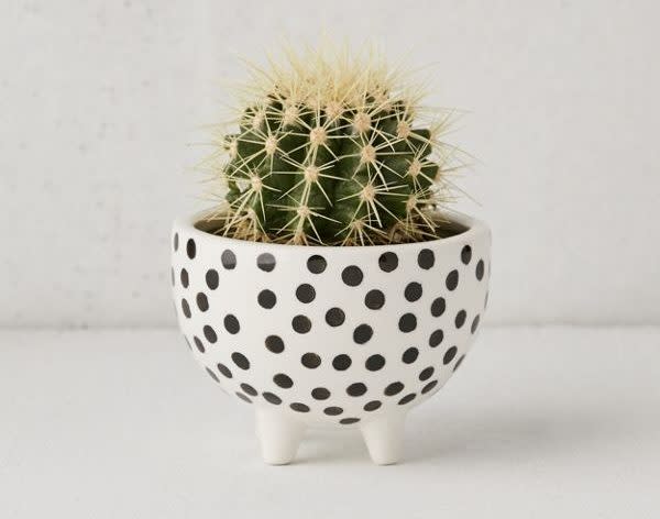 STYLECASTER | Cute Planters