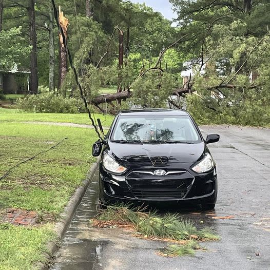 Downed tree and power lines in Jacksonville, courtesy of the City of Jacksonville