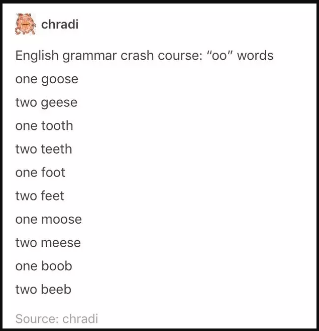 Humorous text comparing irregular plural forms of English words with fictional incorrect versions